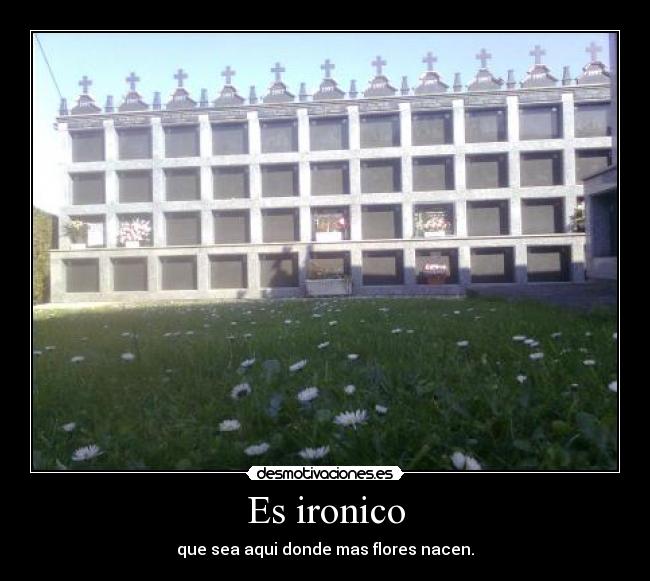 Es ironico -