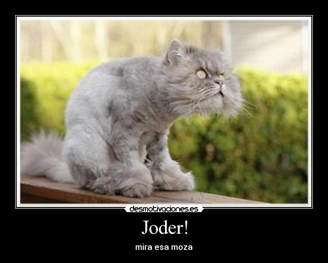 Joder! -
