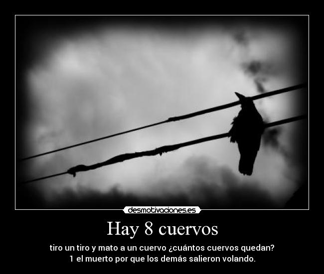 Hay 8 cuervos - 