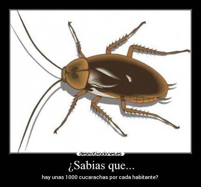 ¿Sabias que... - 