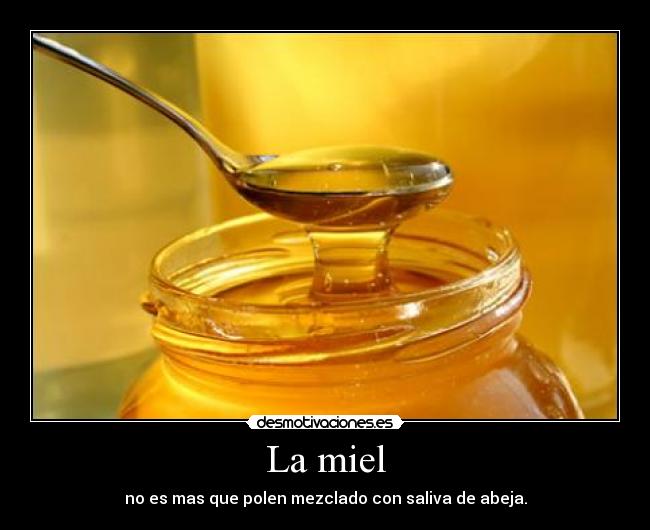 La miel - no es mas que polen mezclado con saliva de abeja.