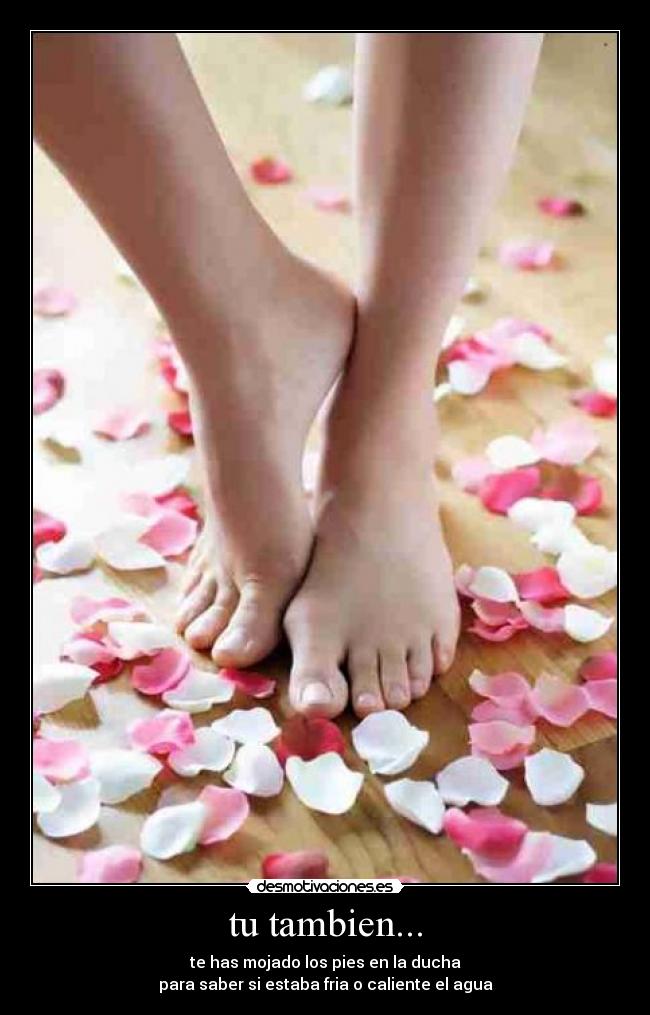 tu tambien... - 