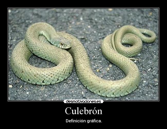 carteles culera telenovela desmotivaciones