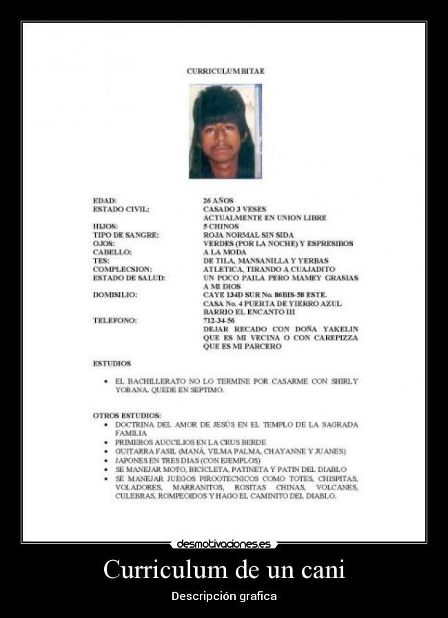 Curriculum de un cani - 