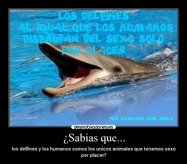 ¿Sabias que... -