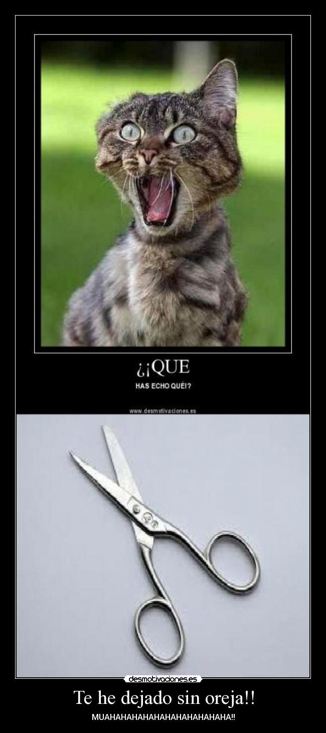 Te he dejado sin oreja!! - MUAHAHAHAHAHAHAHAHAHAHAHA!!