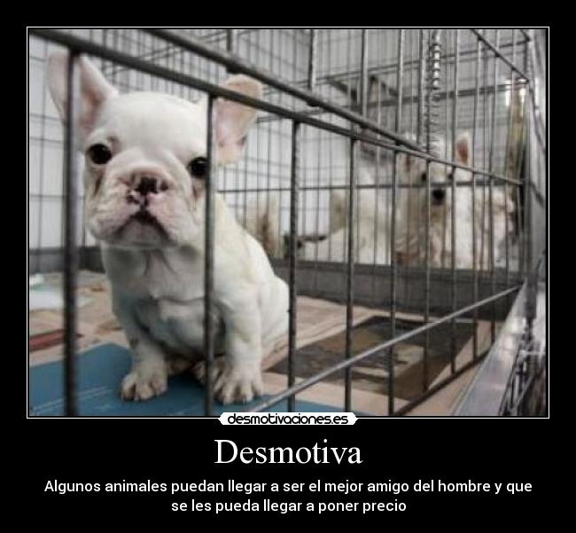 Desmotiva -