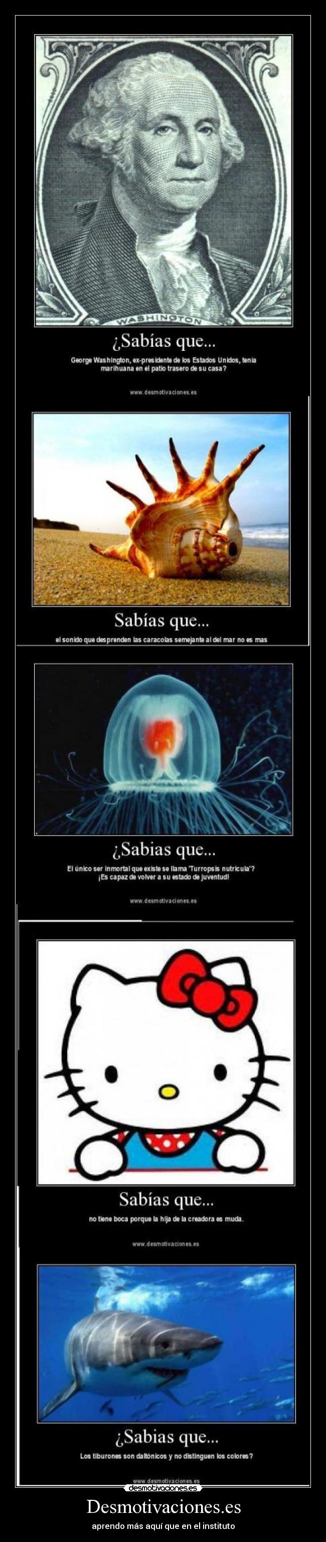 Desmotivaciones.es -