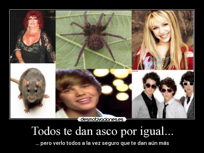 Todos te dan asco por igual... - 