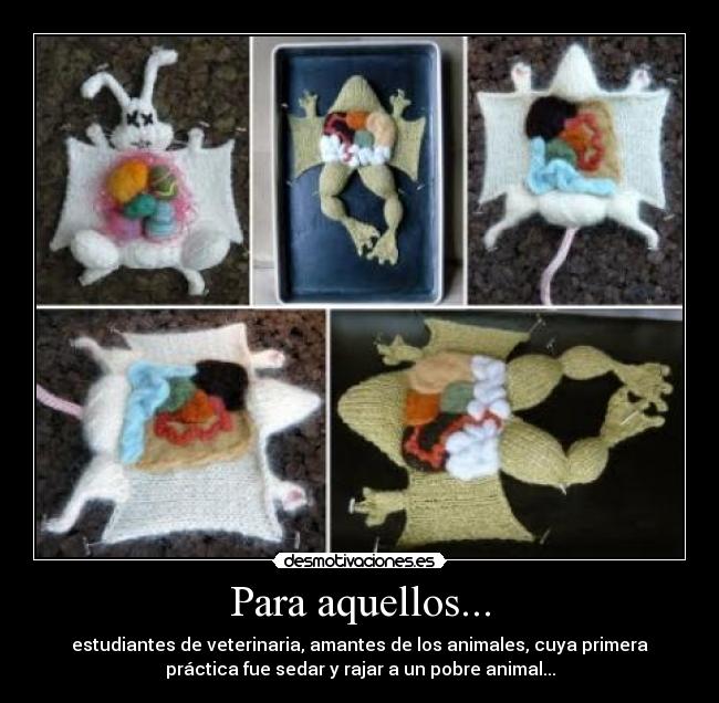 Para aquellos... - estudiantes de veterinaria, amantes de los animales, cuya primera
práctica fue sedar y rajar a un pobre animal...