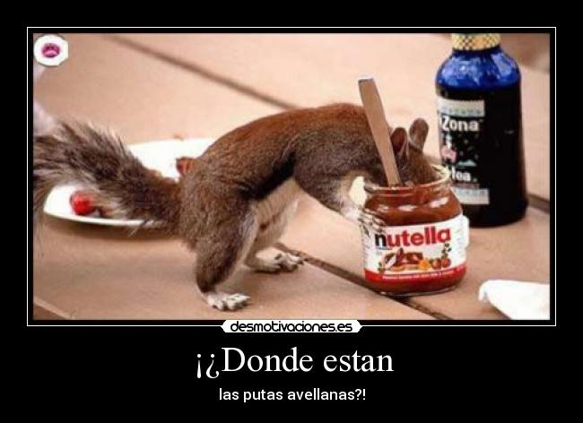 ¡¿Donde estan - 