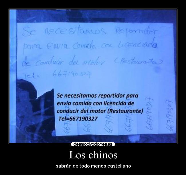Los chinos -