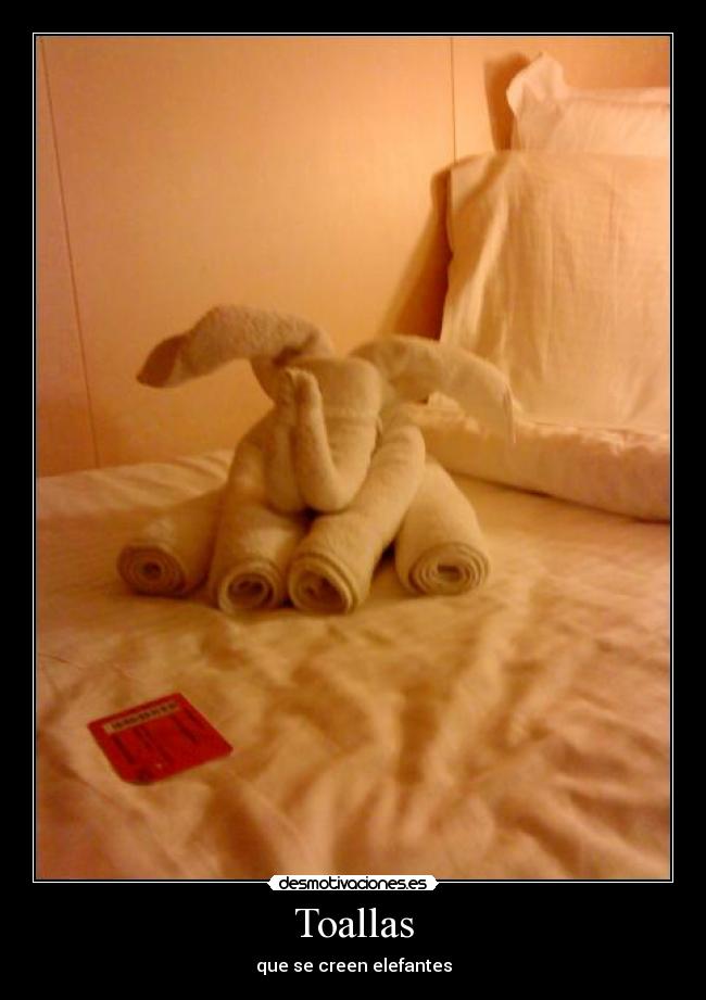 Toallas - 