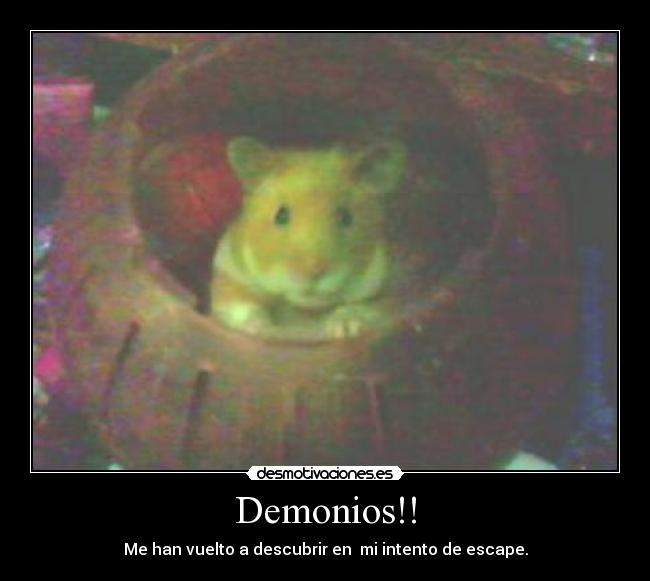 Demonios!! - Me han vuelto a descubrir en mi intento de escape.