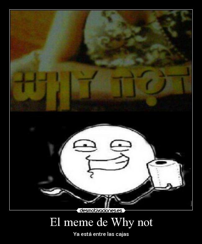 El meme de Why not - 