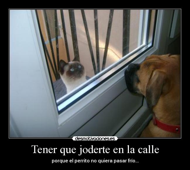 carteles animales desmotivaciones