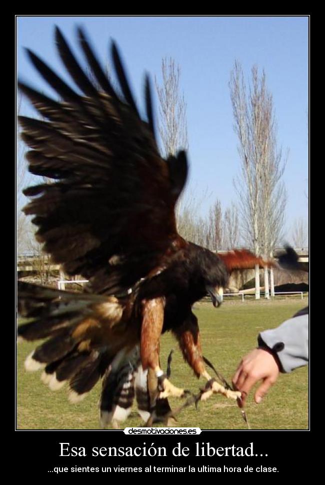 Esa sensación de libertad... - 