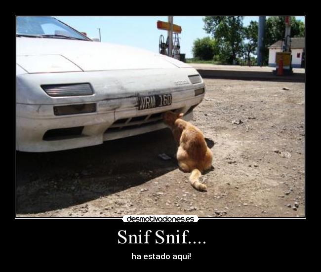 Snif Snif.... - ha estado aqui!