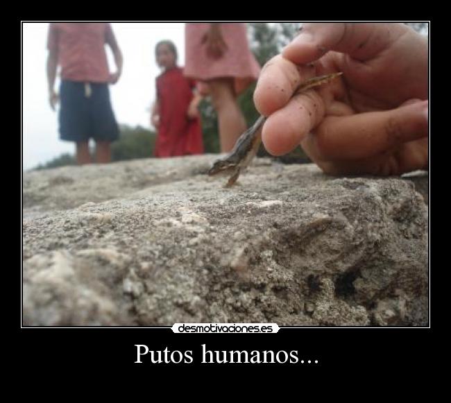Putos humanos... - 
