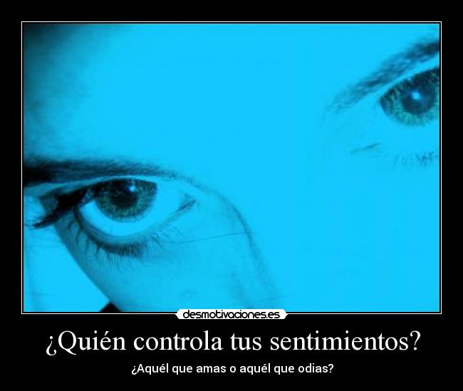 carteles sentimientos control sentimientos amado odiado desmotivaciones