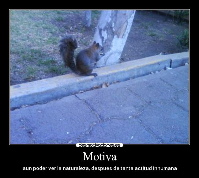Motiva - aun poder ver la naturaleza, despues de tanta actitud inhumana