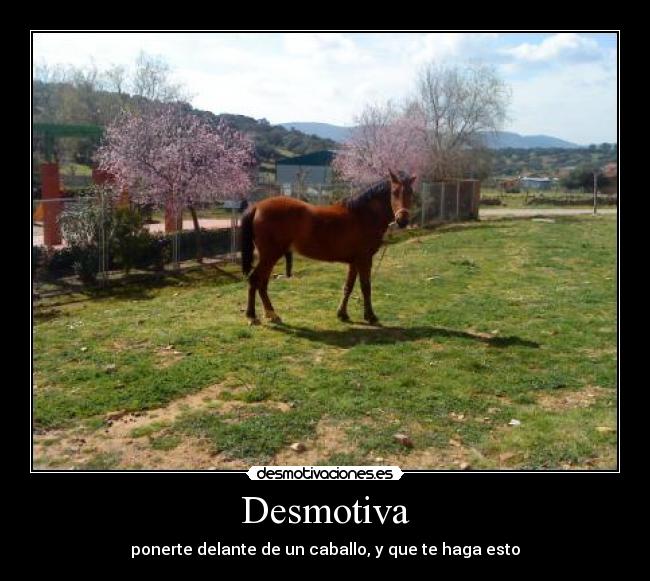 Desmotiva - ponerte delante de un caballo, y que te haga esto