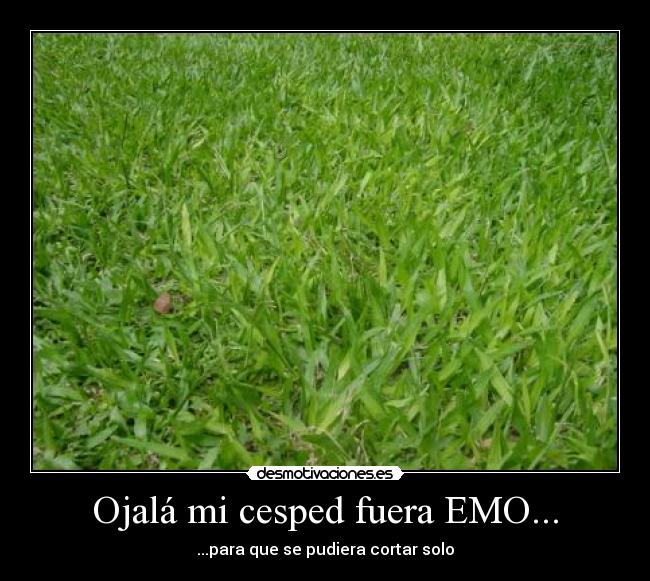 Ojalá mi cesped fuera EMO... -