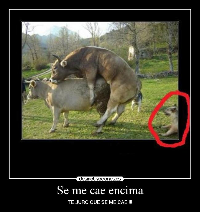 Se me cae encima - TE JURO QUE SE ME CAE!!!!