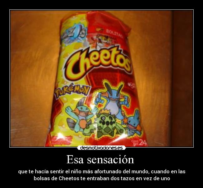 Esa sensación - que te hacía sentir el niño más afortunado del mundo, cuando en las
bolsas de Cheetos te entraban dos tazos en vez de uno