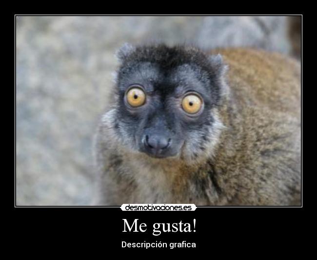 carteles alvarete301 desmotivaciones