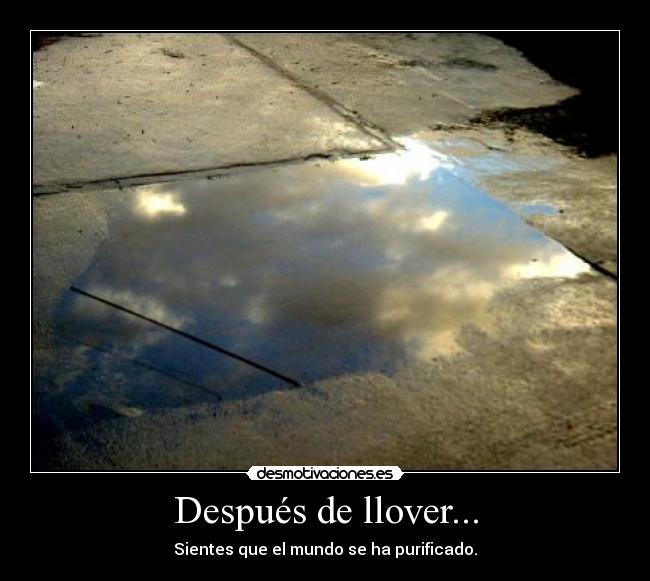 Después de llover... - Sientes que el mundo se ha purificado.