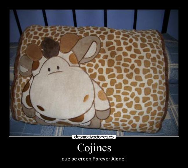 Cojines - que se creen Forever Alone! 