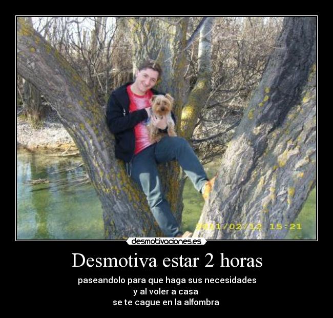 carteles cagar alfombra desmotivaciones