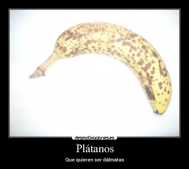 Plátanos - Que quieren ser dálmatas