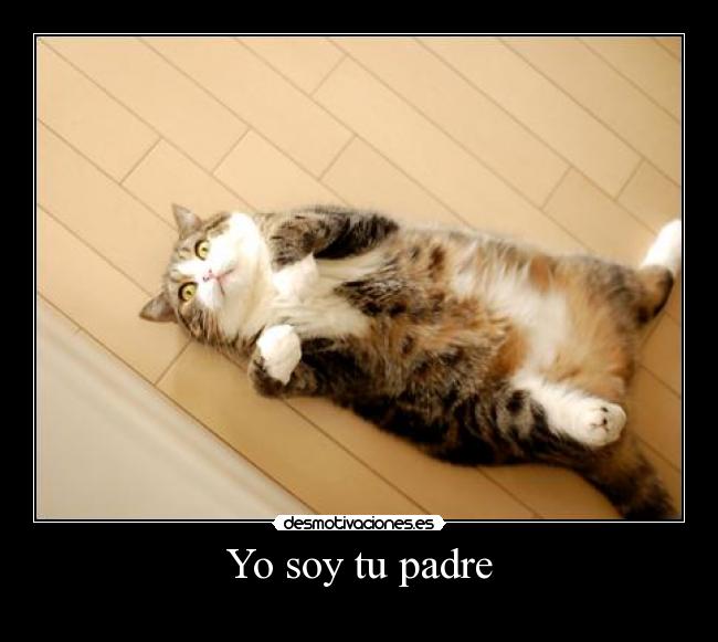 Yo soy tu padre - 