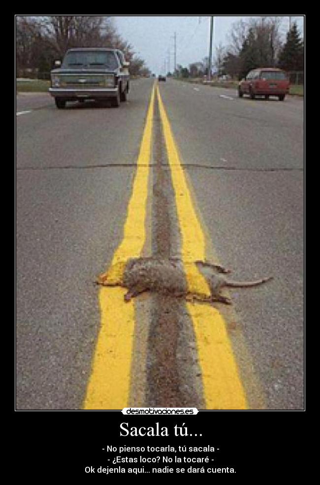 Sacala tú... - - No pienso tocarla, tú sacala -
- ¿Estas loco? No la tocaré -
Ok dejenla aqui... nadie se dará cuenta.