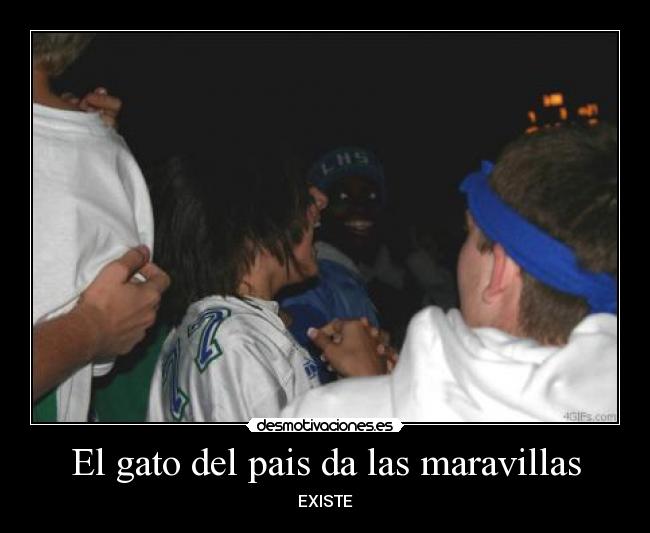 El gato del pais da las maravillas - EXISTE