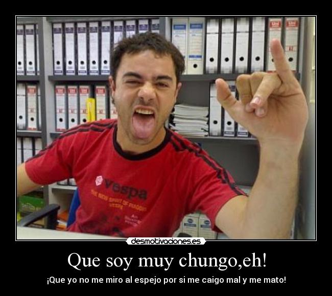 carteles chungomuy loco desmotivaciones