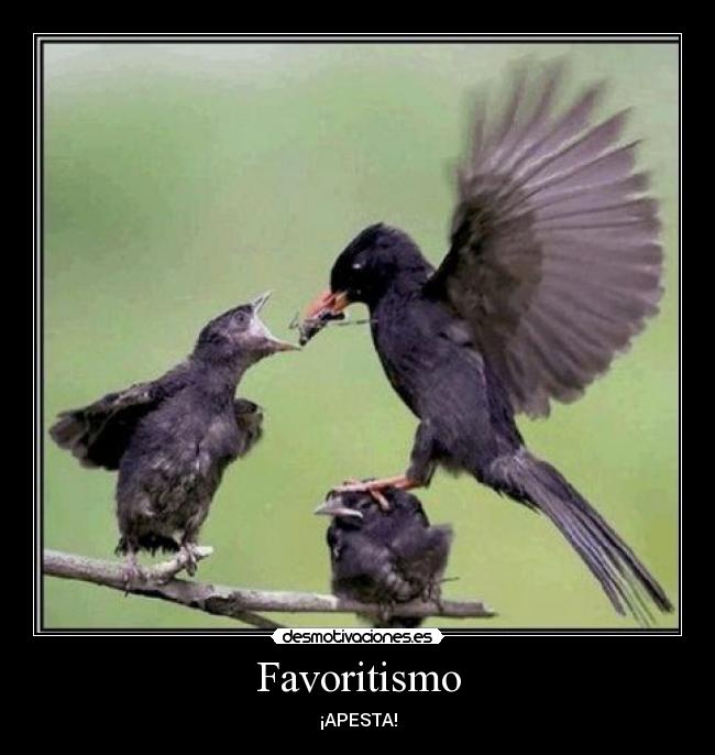 Favoritismo -