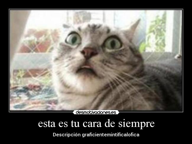esta es tu cara de siempre - Descripción graficientemintificalofica