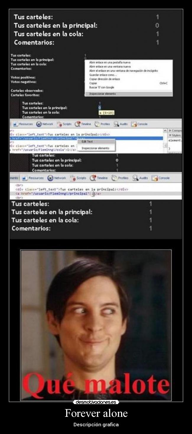 Forever alone - Descripción grafica