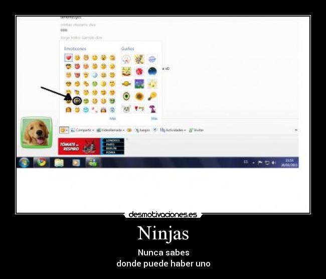 Ninjas - 