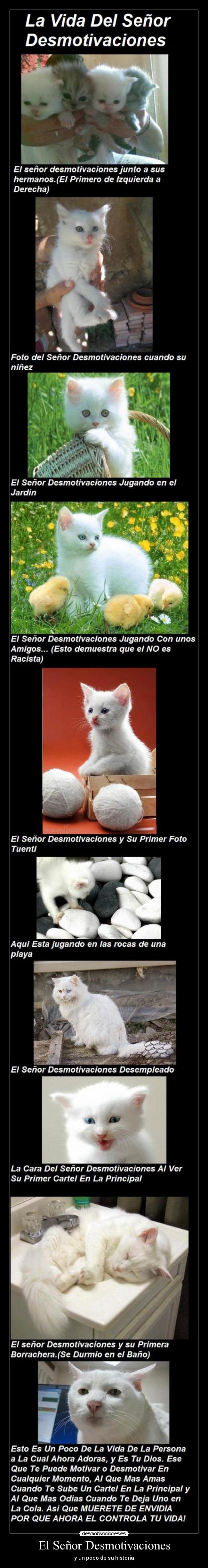 El Señor Desmotivaciones - y un poco de su historia