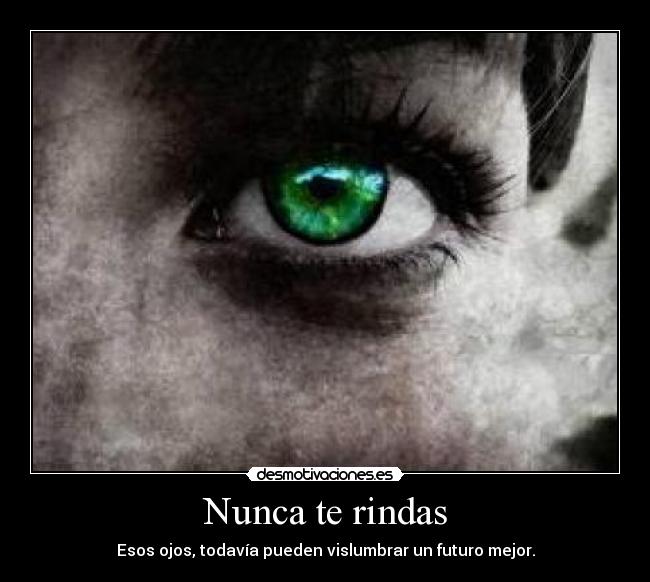 carteles vida desmotivaciones