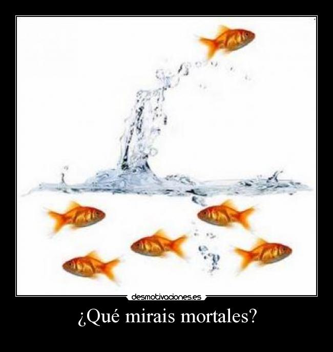 ¿Qué mirais mortales? - 