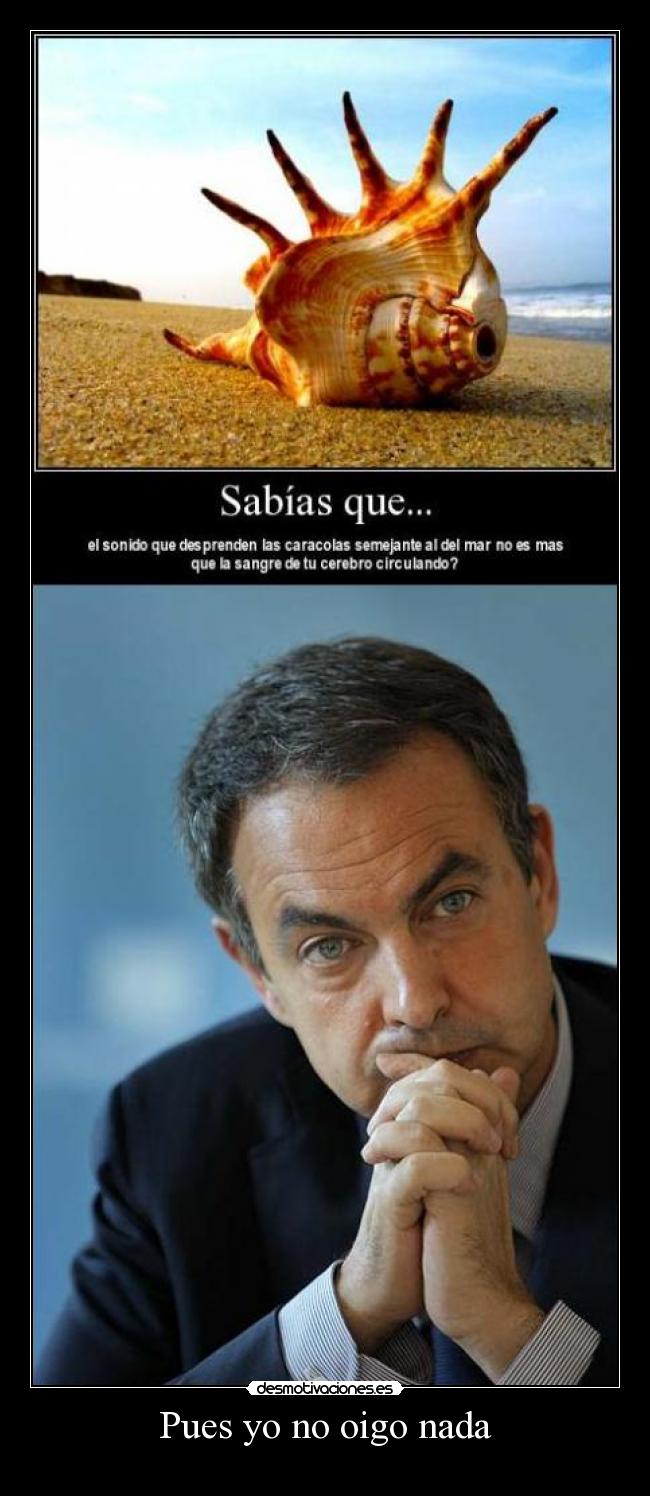 Pues yo no oigo nada -