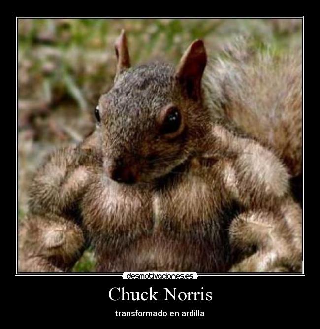 Chuck Norris - 