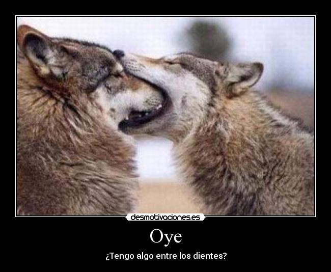 Oye -