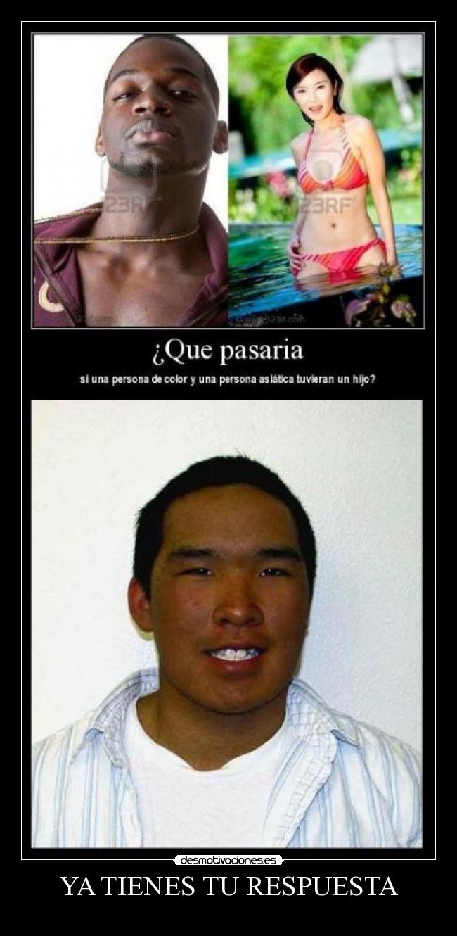 YA TIENES TU RESPUESTA - 