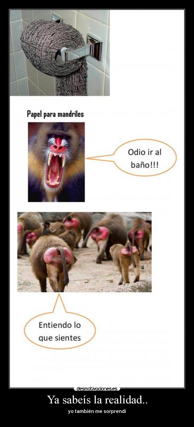 Ya sabeís la realidad.. - 